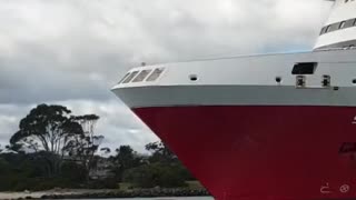 Spirit Of Tasmania 1 Passing. #trending #shorts