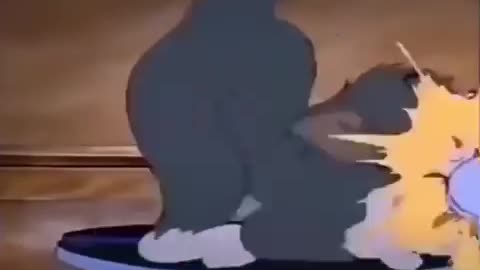 Tom & jerry cartoon Vs reality funny video 😂😂😂😂