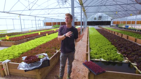 Tour an AQUAPONICS FARM in Texas 🐟 + 🌿= 🤠 Sustainable Harvesters