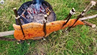 Buscraft SALMON best option for Camping ASMR Campfire Cooking ( Relaxing Sounds)