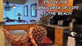 Cornucopia At The Beach - Rent From The Owner - Delaware