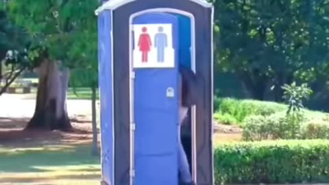 This video see you never use public bathroom