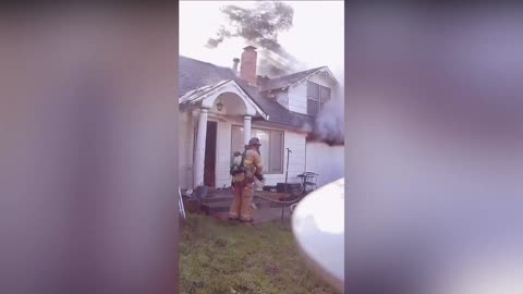 CATS AND DOGS: Fire Crews Rescue 70 Tiny Pomeranian Dogs And Several Cats From Burning Home
