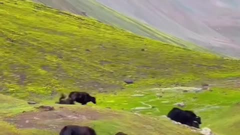 Narankaghan Pakistan