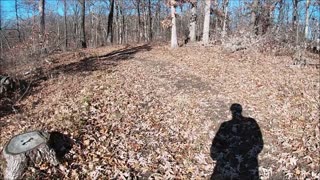 ASMR: Virtual Hike - Sugar Creek - Blue Trail