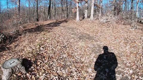 ASMR: Virtual Hike - Sugar Creek - Blue Trail