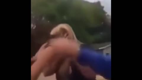 BRUTAL STREET FIGHTS Compilation