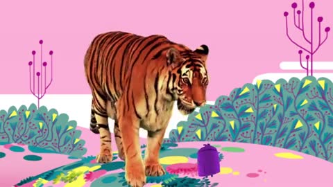 Animal So,' by StoryBots - Netflix Jr_Cut