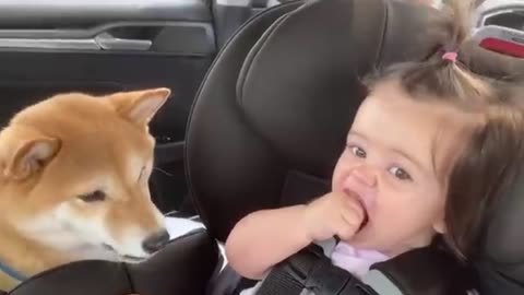 Funny cute babies and dogs 🐕😅