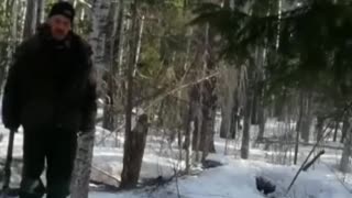 Bear attack