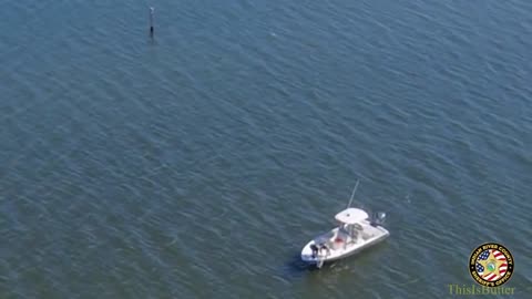 Indian River deputies save woman from Indian River Lagoon after driving car into water