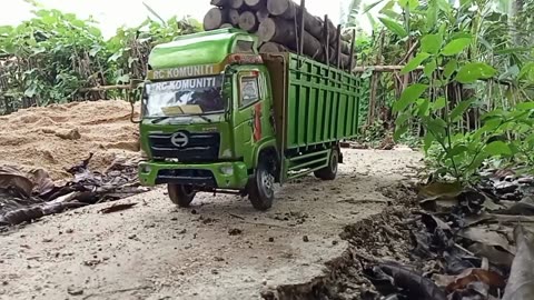 Remote control truck full of wood