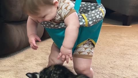 Baby Meets Cuddly Calico Kitten