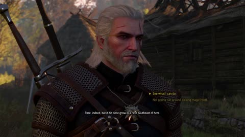 The Witcher 3 - The truth is in the starts