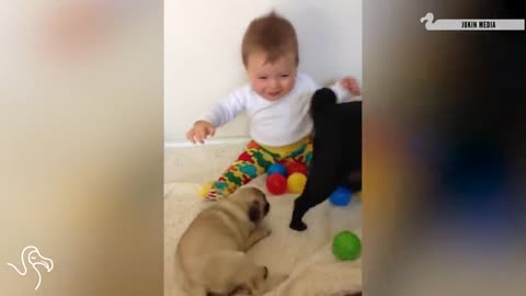 Babies Laughing At Pets | The Dodo