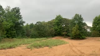 Stock-footage Sand dune