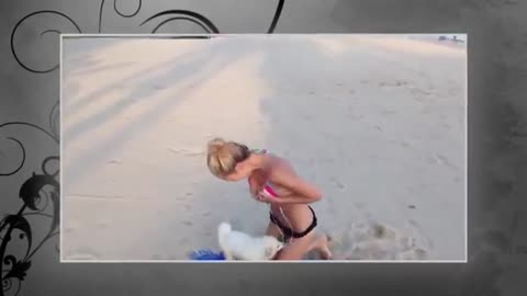 Hilarious dog steals woman's bra