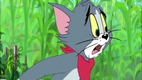 Tom And Jerry Cartoon Funny Videos