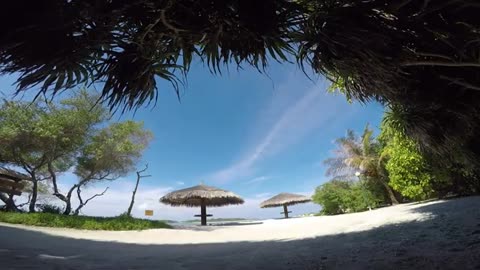Maldives Cinematic Travel Video