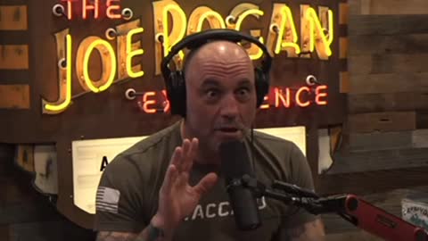 Joe Rogan Pushes Back On Sex Ed for Young Children