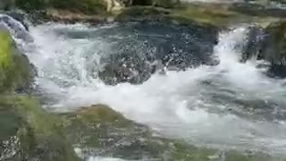 River at Caernarfon in North Wales, cooling on a hot summers day.