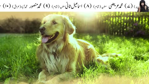 Kutta Ki Ankhin Shetan Ko Kese Dekhti Hin | Dog