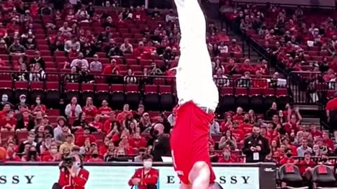 Man and dog’s incredible acrobatic performance during NBA game’s halftime