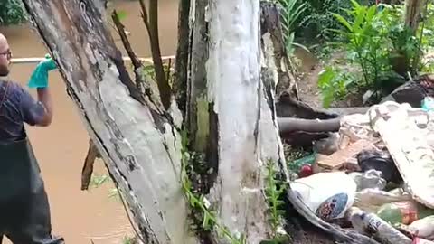 Fruit seller creates a barrier and removes 3 tons of waste from the river