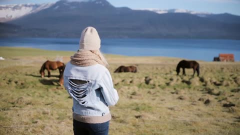 Back view of young stylish woman standing on the nature and looking on the Icelandic horse