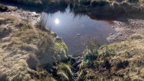 West Water - King Seat - Lamb Rig - Byrehope Mount - West Cairn Hill - Baddinsgill Reservoir loop