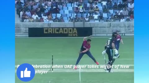 Funny cricket moment