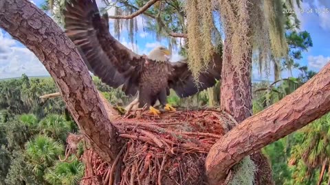 The Eagle Has Landed in Slow Motion