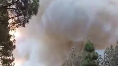 Wildfire in Tenerife national park