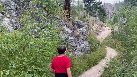 Little Devils Tower Trail (Custer, SD) is one of the best trails in Custer State Park!