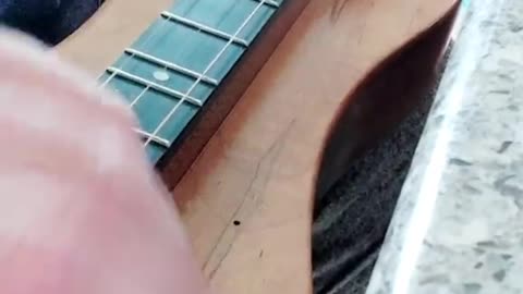 Sugar, Sugar (an Archies song) played on mountain dulcimer