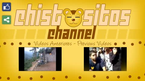 Videos Graciosos | Funny Videos - El Perro Saltarin, Molestando a un Pitbull, Perro Cagando y Mas!