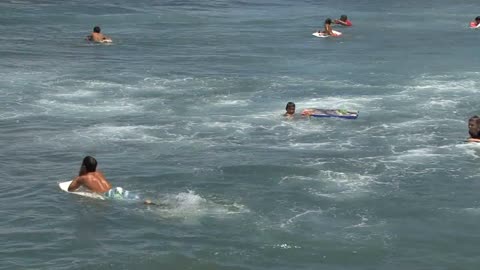 Waikiki kids swimming