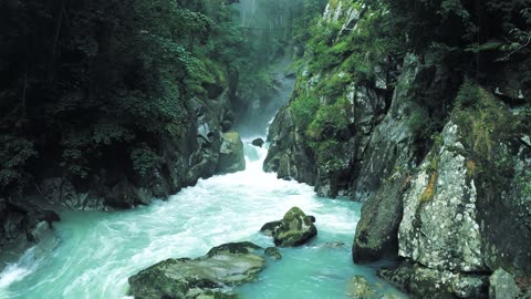 Listen to Nature's Sweet Symphony with This Waterfall Video🌊