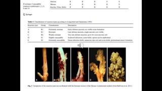 Potato Wart Management Remake and Biofertilizer News Critique