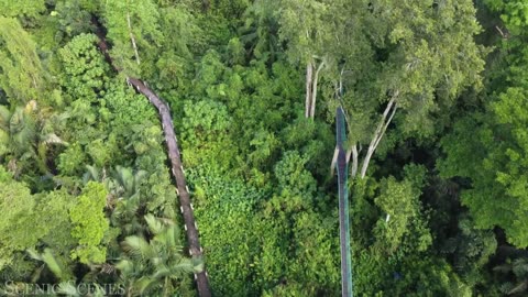 Malaysia In 4k - The Land Of Beautiful Topical Rainforest | Scenic Relaxation Film