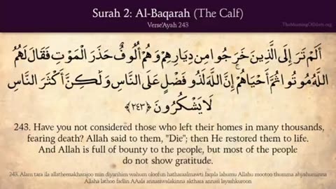 Quran 2. Surah AL_Baqara (Part No 08) Arabic to English