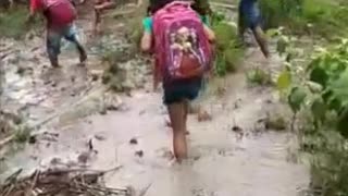 MARAJÓ - Estudantes enfrentam lamaçal para chegar na escola