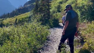 Close Bear Encounter in Glacier National Park