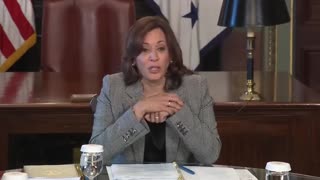Kamala Harris Brilliantly Explains AI: "It's Two Letters. It Means 'Artificial Intelligence'"
