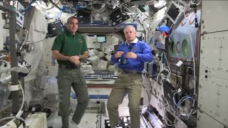 NASA Anti-Gravity ISS Space Harness