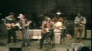 Muddy Waters & Johnny Winter - Going Down Slow = Chicago Blues Fest 1981