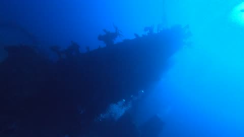 Red Sea SCUBA Diving - Numida Wreck stern section
