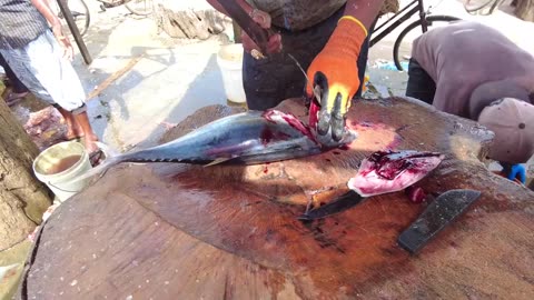 Tuna Cutting By Mr.Ravi