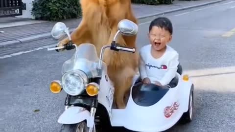 Dog riding a car with a baby This car is not a remote control Oh