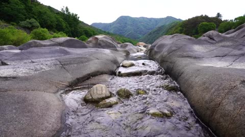 Beautyfull Nature video